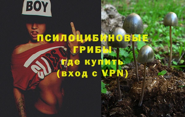 spice Алексин