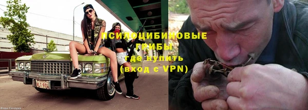 spice Алексин