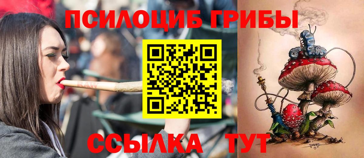 Галлюциногенные грибы ЛСД Полевской