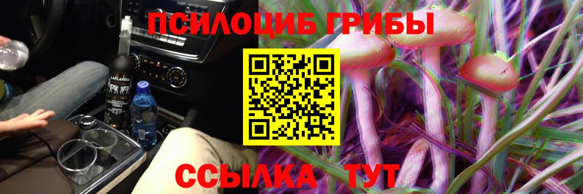 Псилоцибиновые грибы MAGIC MUSHROOMS  Вход с VPN  Полевской  Галлюциногенные грибы прущие грибы 