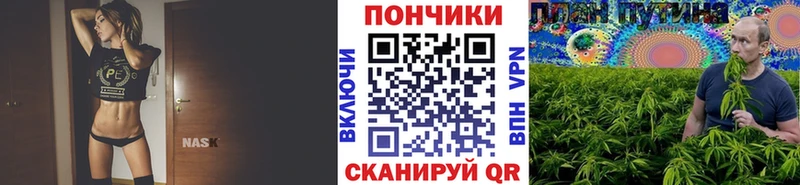 где купить   Полевской  Бошки Шишки VHQ 